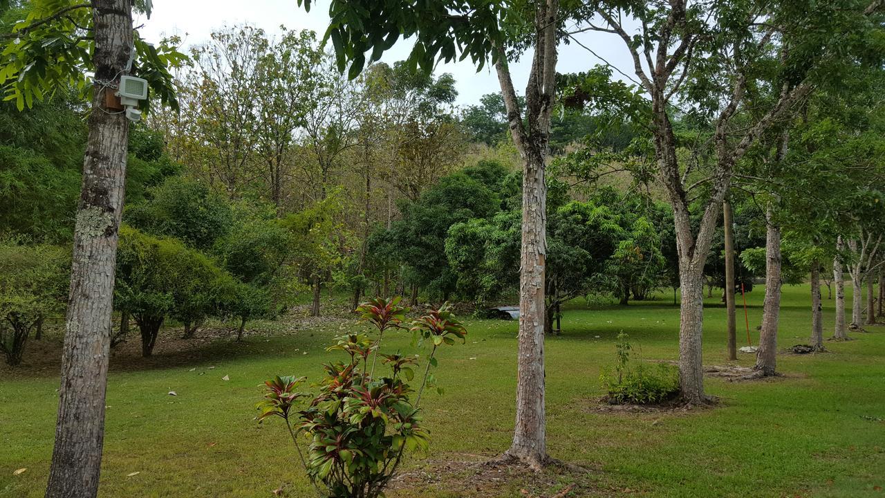 Mahogany Villas Punta Gorda Dış mekan fotoğraf